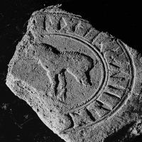 CIL_XV_1224-SAOinv.21900