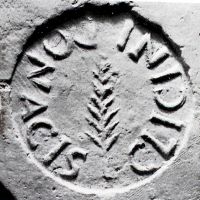 CIL_XV_1244a-Cozzo36_70