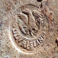 CIL_XV_1248a-Bianchi2016_2