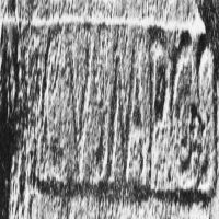 CIL_XV_1270II-LSO964