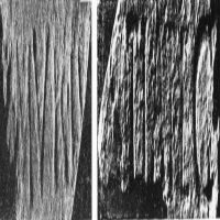 CIL_XV_1312II-LSO980II