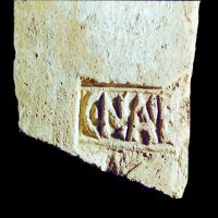 CIL_XV_1315c-Moscetti2020_46