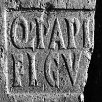 CIL_XV_1356II-SAOinv.23996