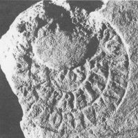 CIL_XV_1414-Bodel83_101