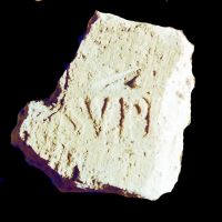 CIL_XV_1460var2-Moscetti2020_61