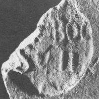 CIL_XV_1550-Bodel1983_111