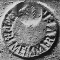 NovumCIL_XV_1298-9-LSO972