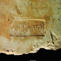 NovumCIL_XV_1401-2.1-Moscetti2020_53