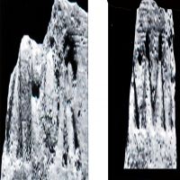 NovumCIL_XV_S.346-7.2-Quaranta08_110-112