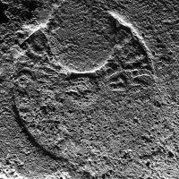 CIL_XV_S.323corr-SAOinv.27945