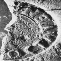 CIL_XV_S.349corr-LSO991