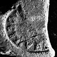 CIL_XV_S.349corr-SAOinv.24003